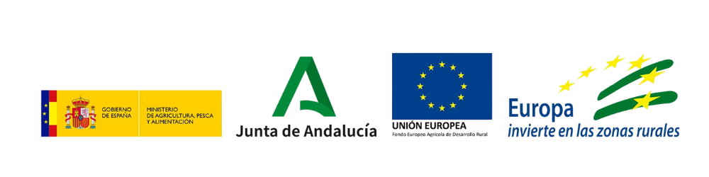 Cofinanciado por la Unión Europea, Fondos Europeos y Cámara de Comercio